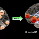 Music Boosts Brain Development in Premature Babies, Study Finds