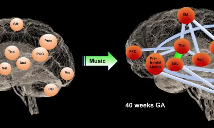 Music Boosts Brain Development in Premature Babies, Study Finds