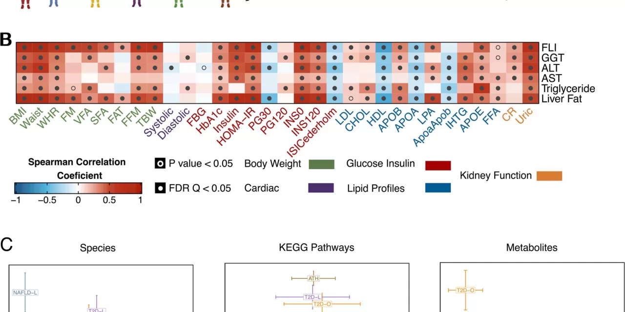 Gut Microbiome Signatures Predict Nonalcoholic Fatty Liver Disease with High Accuracy