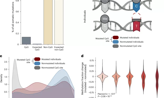 New Research Sheds Light on Aging at the Molecular Level