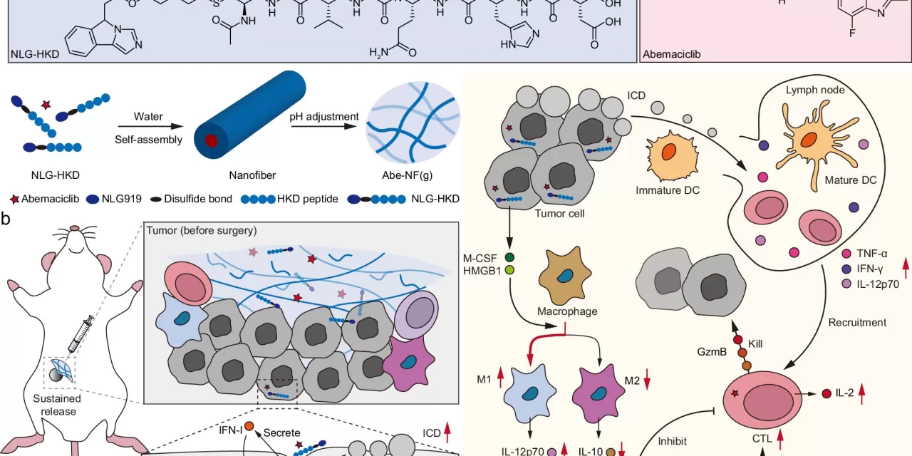 New Injectable Hydrogel Shows Promise for Breast Cancer Treatment