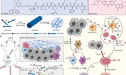 New Injectable Hydrogel Shows Promise for Breast Cancer Treatment