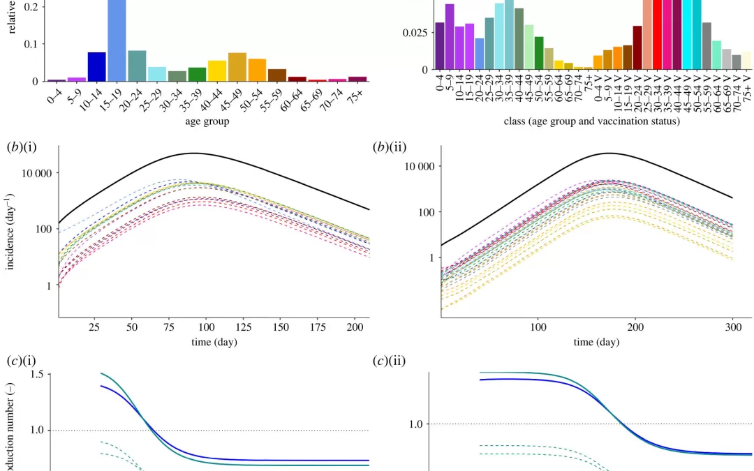 New model reimagines R for infectious disease spread