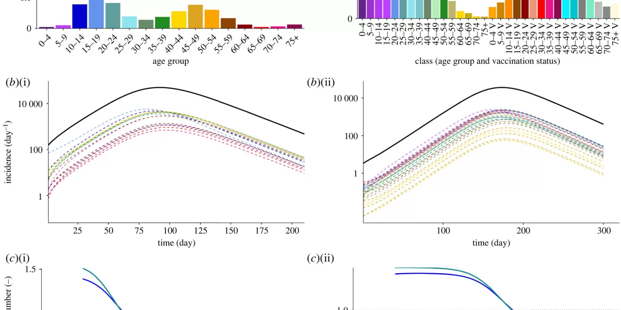 New model reimagines R for infectious disease spread