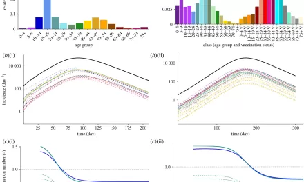 New model reimagines R for infectious disease spread