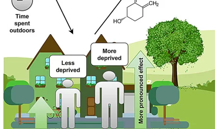 Greenspace Linked to Higher Vitamin D Levels, Study Finds