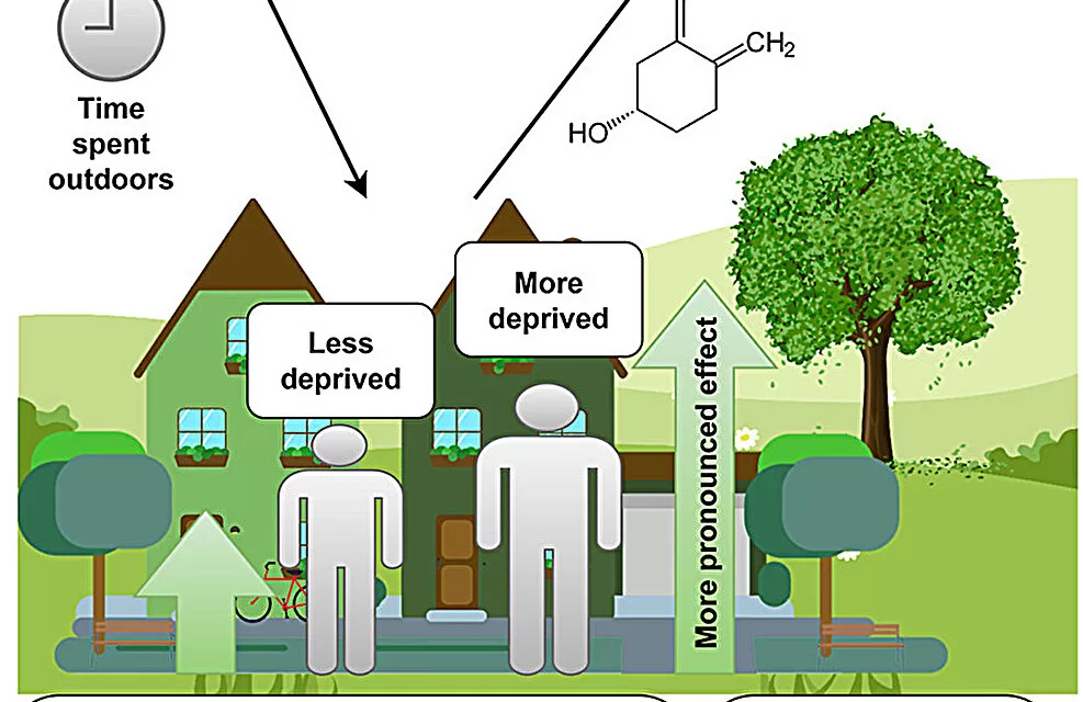 Greenspace Linked to Higher Vitamin D Levels, Study Finds