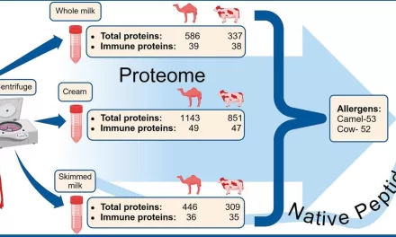 Camel milk: A potential alternative for people with allergies and those seeking health benefits