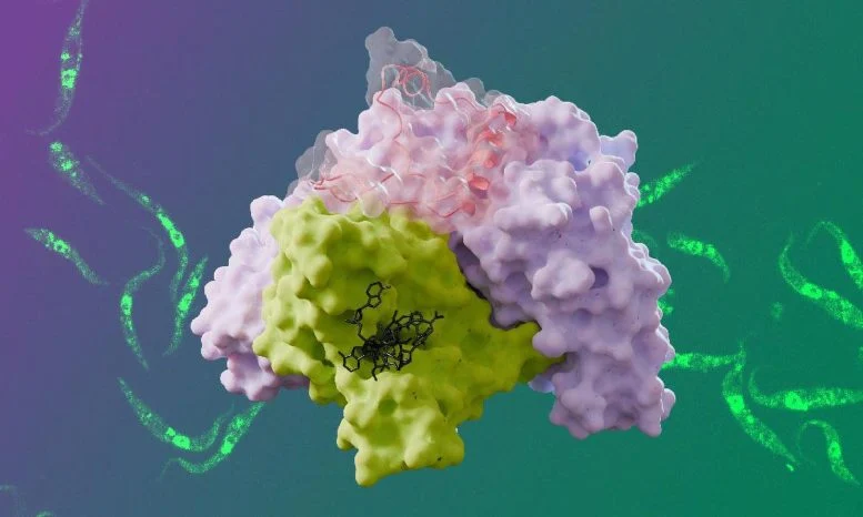 Scientists Expose Structural Secrets of Trypanosome Parasites: A Step Toward Novel Drug Development