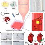 Light-Activated Ink Developed to Remotely Control Cardiac Tissue, Offering Potential for Heart Repair