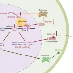 New Study Unveils Potential Molecular Pathway Driving Esophageal Squamous Cell Carcinoma (ESCC) Progression