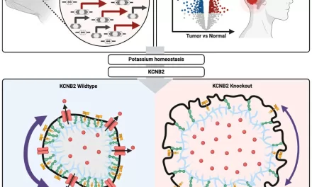 Targeting Potassium Channel Shows Promise for Treating Brain Tumors in Children