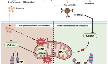 New nano-formulation may help bring safer treatment for Parkinson’s Patients