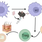 Microbial Therapy May Restore Skin Pigmentation in Vitiligo Patients, New Study Finds