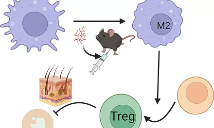 Microbial Therapy May Restore Skin Pigmentation in Vitiligo Patients, New Study Finds