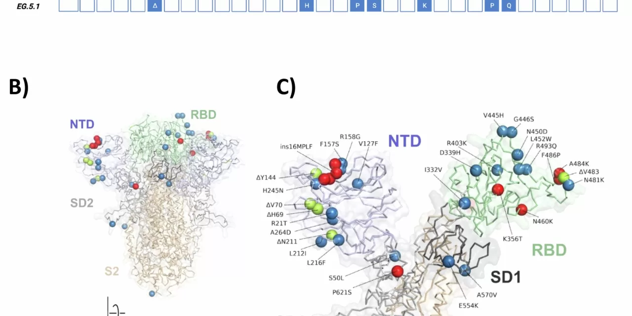 Reverse Mutational Scanning: A Breakthrough in the Fight Against Emerging Virus Variants