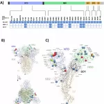 Reverse Mutational Scanning: A Breakthrough in the Fight Against Emerging Virus Variants