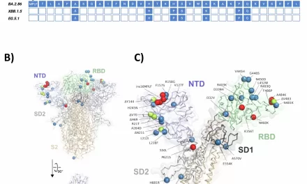 Reverse Mutational Scanning: A Breakthrough in the Fight Against Emerging Virus Variants