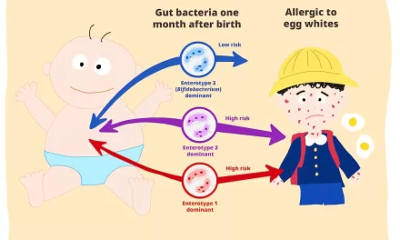 Infant Gut Bacteria Linked to Food Allergy Development