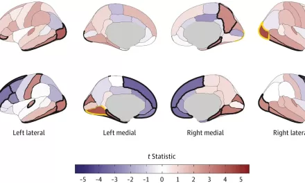 Study Sheds Light on Brain Structure’s Role in Early Substance Use