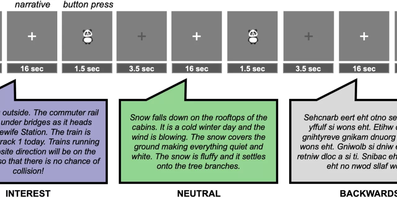 Personal Interests Shape Children’s Brain Responses to Language, New Study Finds