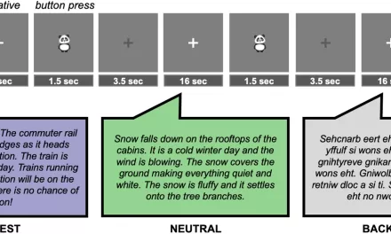 Personal Interests Shape Children’s Brain Responses to Language, New Study Finds