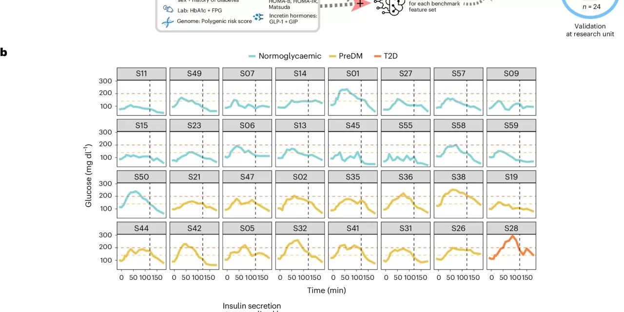 AI Algorithm Leverages Simple Glucose Monitor Data to Predict and Identify Subtypes of Type 2 Diabetes