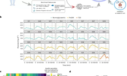 AI Algorithm Leverages Simple Glucose Monitor Data to Predict and Identify Subtypes of Type 2 Diabetes