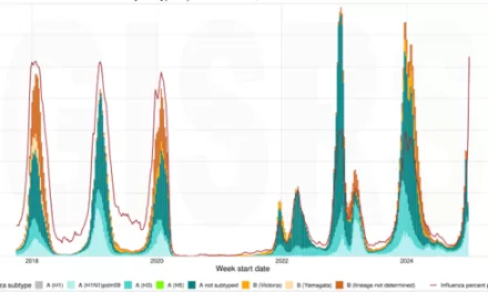 Trends of acute respiratory infection, including human metapneumovirus, in the Northern Hemisphere-WHO