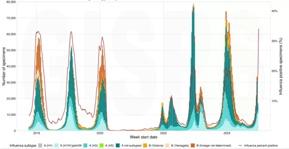 Trends of acute respiratory infection, including human metapneumovirus, in the Northern Hemisphere-WHO