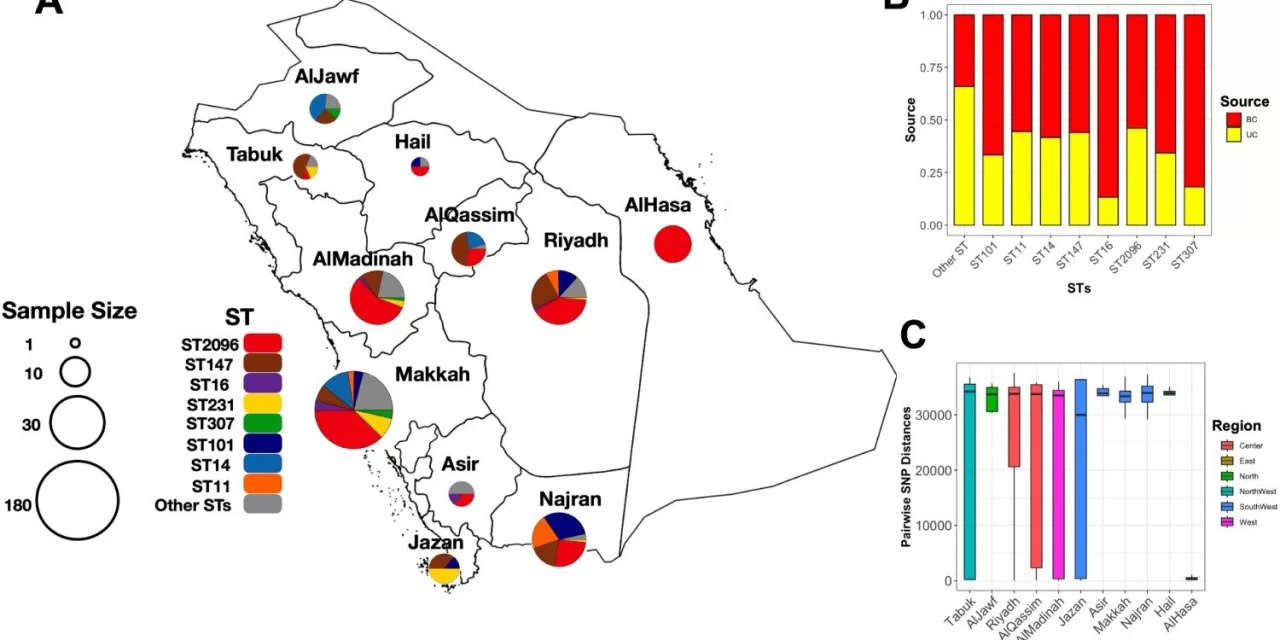 Deadly Bacteria Behave Differently in Saudi Arabia Compared to Rest of the World, Study Reveals