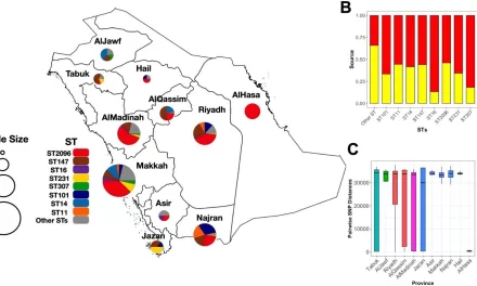 Deadly Bacteria Behave Differently in Saudi Arabia Compared to Rest of the World, Study Reveals