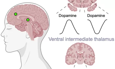 Groundbreaking Study Reveals How Brain Chemicals Respond to Emotional Words