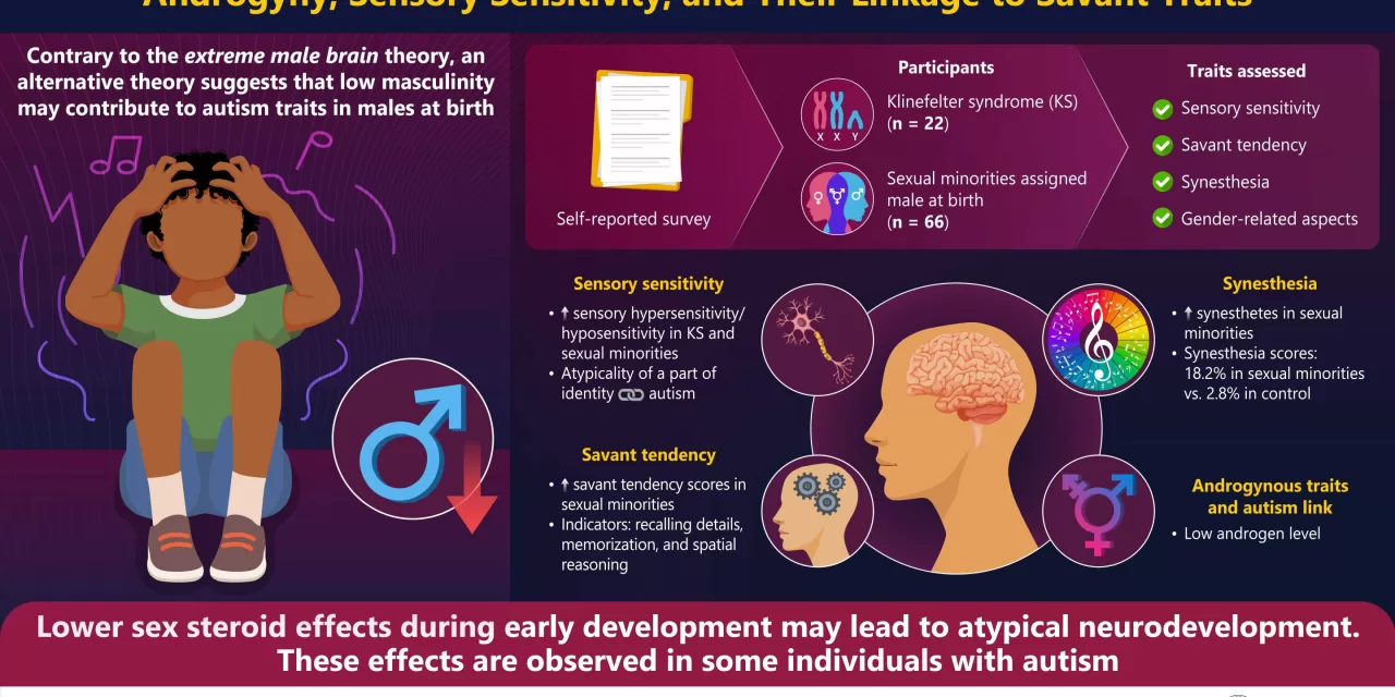 Exploring Gender and Neurodiversity: New Study Challenges the Extreme Male Brain Theory