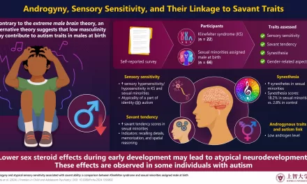 Exploring Gender and Neurodiversity: New Study Challenges the Extreme Male Brain Theory