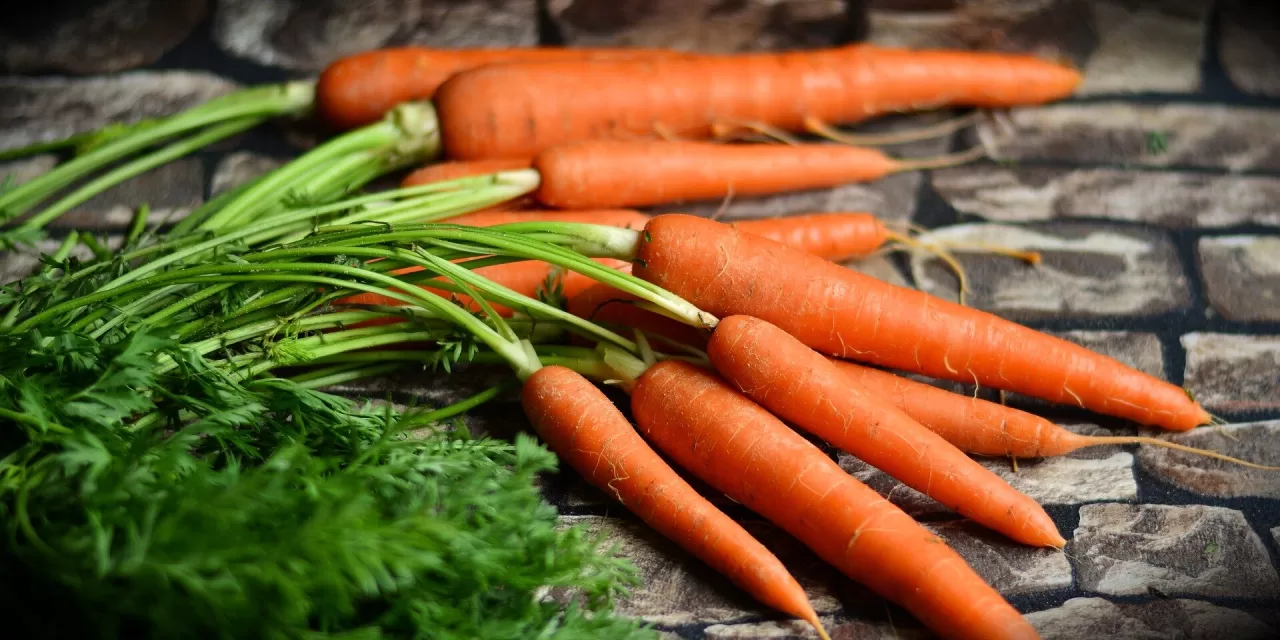 Carrots May Aid in Managing Type 2 Diabetes, Study Suggests