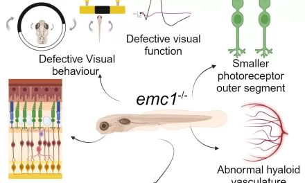 New Gene Mutation Linked to Eye Disease Named After Blind Irish Poet