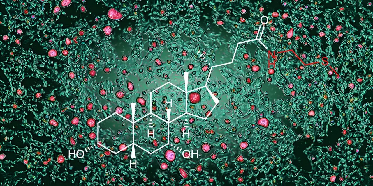 Diet, Microbes, and Fat: Groundbreaking Research Reveals Pathway Controlling Body Fat and Cholesterol Levels