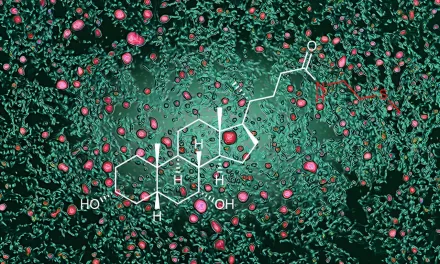 Diet, Microbes, and Fat: Groundbreaking Research Reveals Pathway Controlling Body Fat and Cholesterol Levels