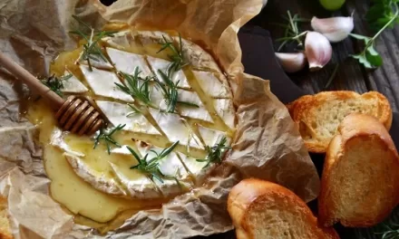 Could Camembert Cheese Hold the Key to Better Memory? New Study Suggests Cheese’s Fatty Acids May Boost Brain Function