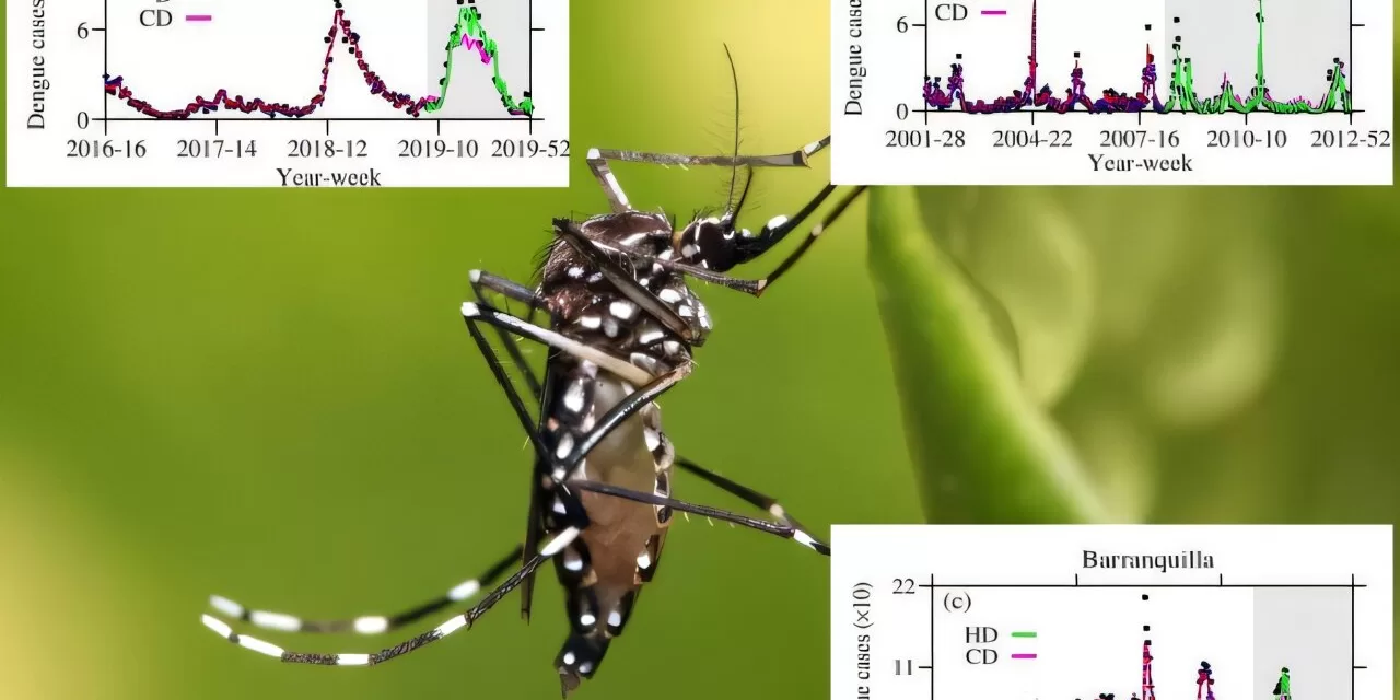 Machine Learning and Climate Data Provide New Insights into Dengue Forecasting