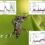 Machine Learning and Climate Data Provide New Insights into Dengue Forecasting