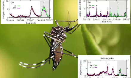 Machine Learning and Climate Data Provide New Insights into Dengue Forecasting