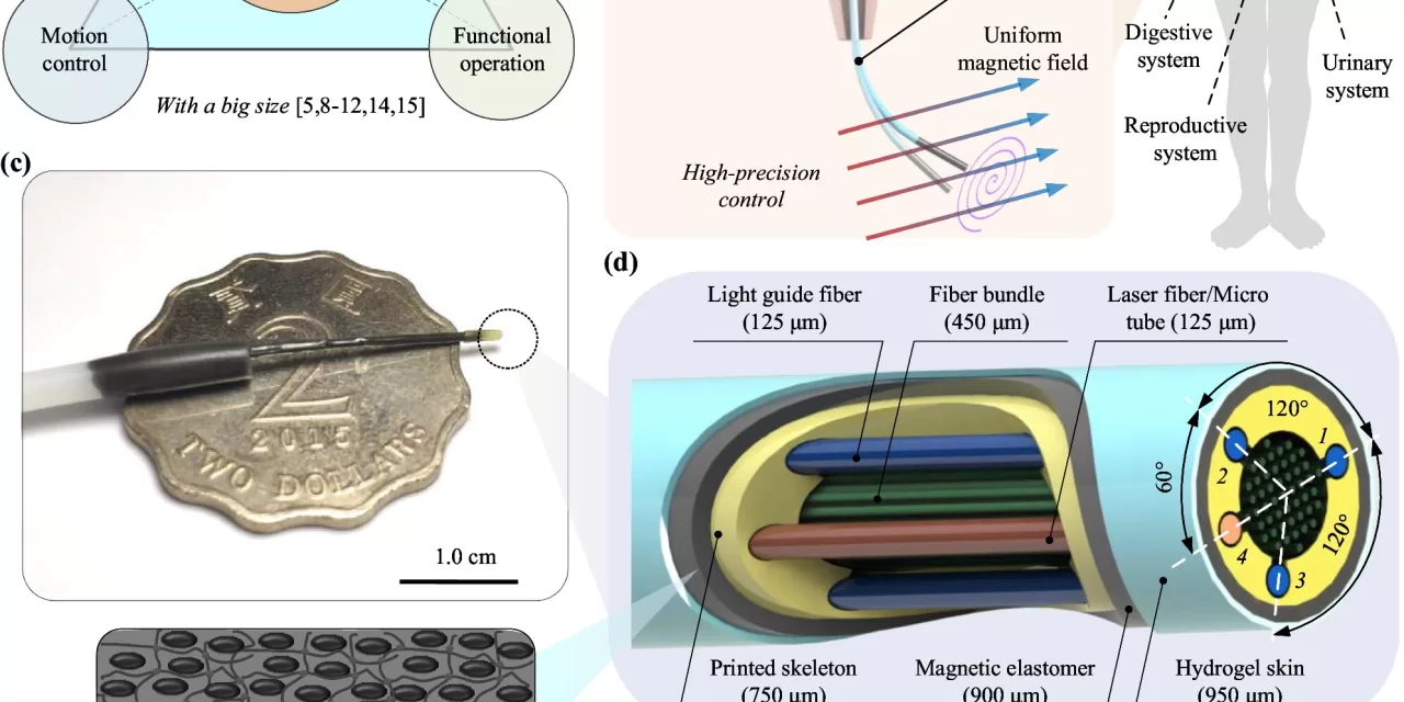 World’s smallest biomedical robot advances interventional diagnosis and treatment