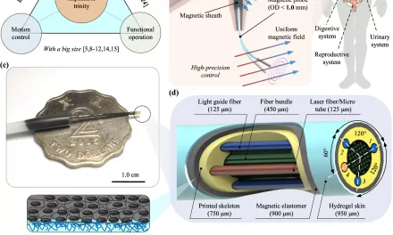 World’s smallest biomedical robot advances interventional diagnosis and treatment