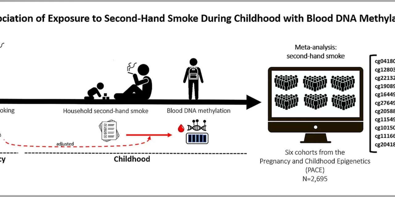 Second-Hand Smoke Exposure in Childhood Leaves Lasting Mark on DNA