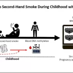 Second-Hand Smoke Exposure in Childhood Leaves Lasting Mark on DNA