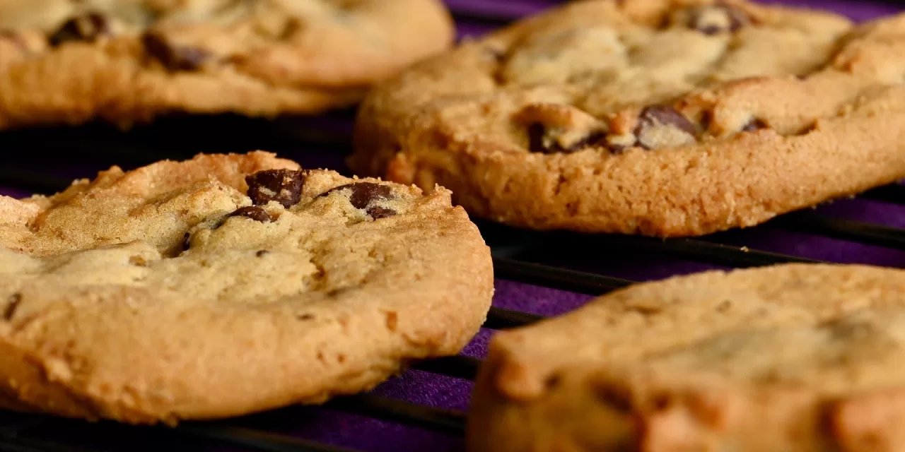 Barbecue and Grandma’s Cookies: New Study Explores Nostalgia and Comfort in Food for Older Adults