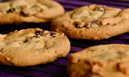 Barbecue and Grandma’s Cookies: New Study Explores Nostalgia and Comfort in Food for Older Adults