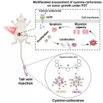 Breast Cancer Treatment Advances with Light-Activated ‘Smart Bomb’